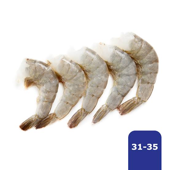 CAMARON 31-35